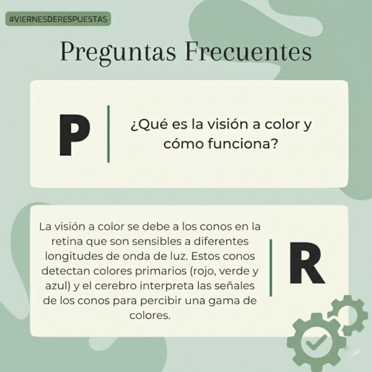 Datos importantes: la exposición prolongada a pantallas y rayos UV daña la visión.