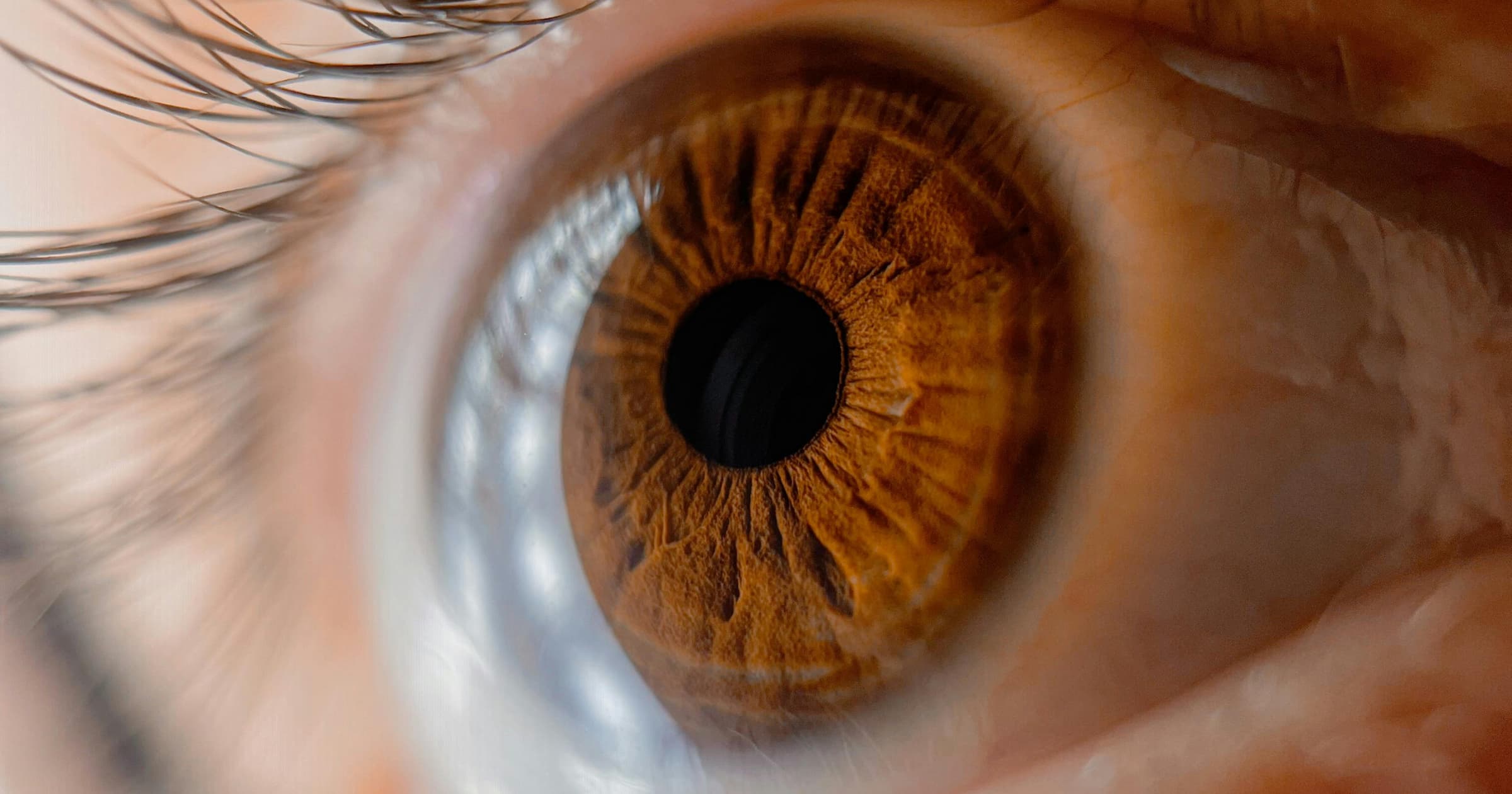 Ojo humano y su sensibilidad a la luz durante el día